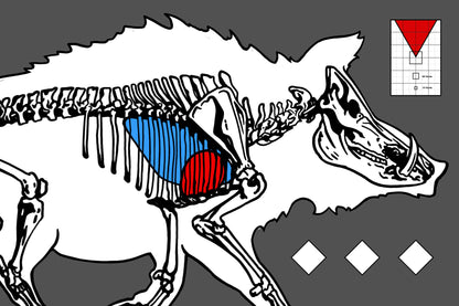 Predator Thermal Targets