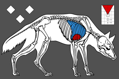 Predator Thermal Targets
